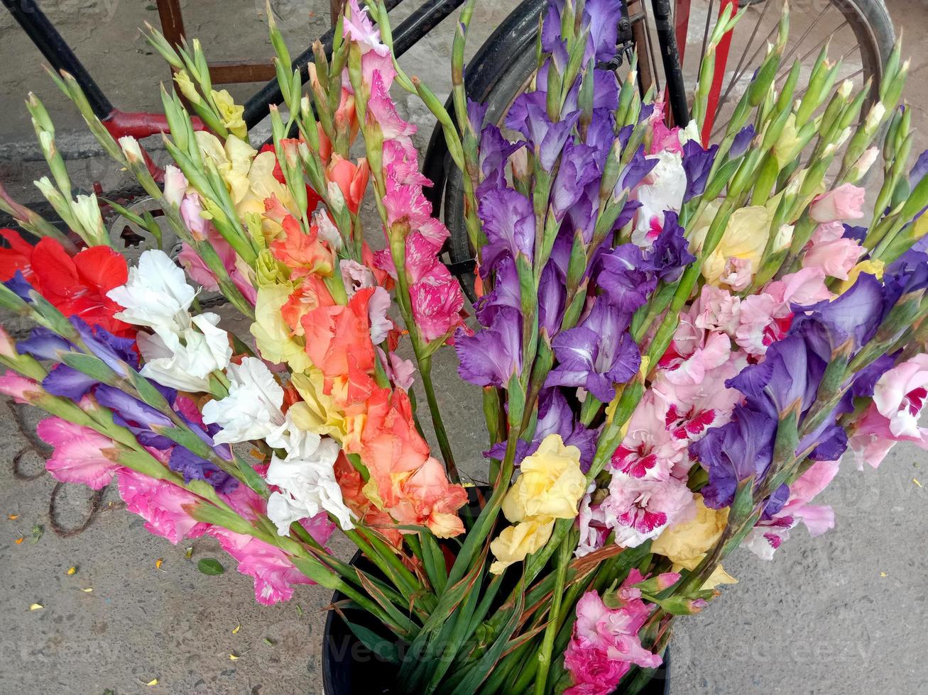 stock di fiori multicolori sul vaso foto