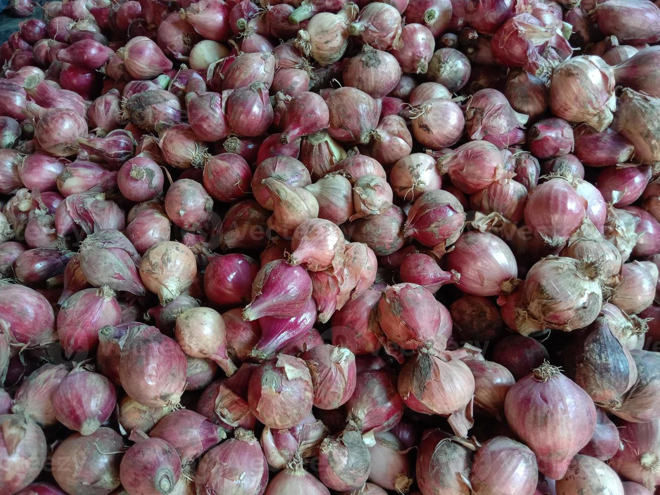 brodo di cipolla sano di colore rosa foto