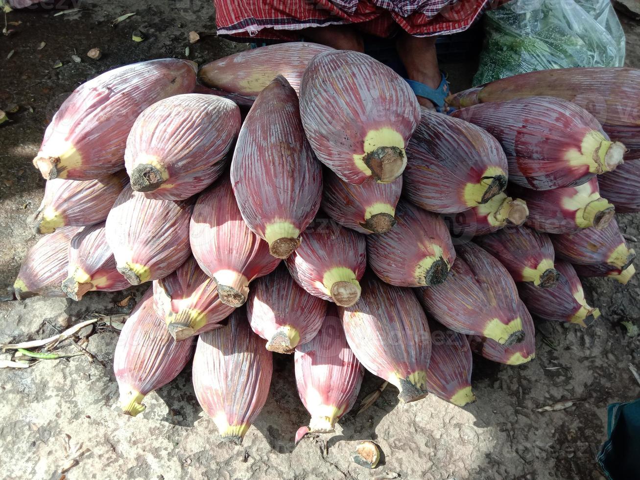 fiore di piantaggine gustoso e sano foto