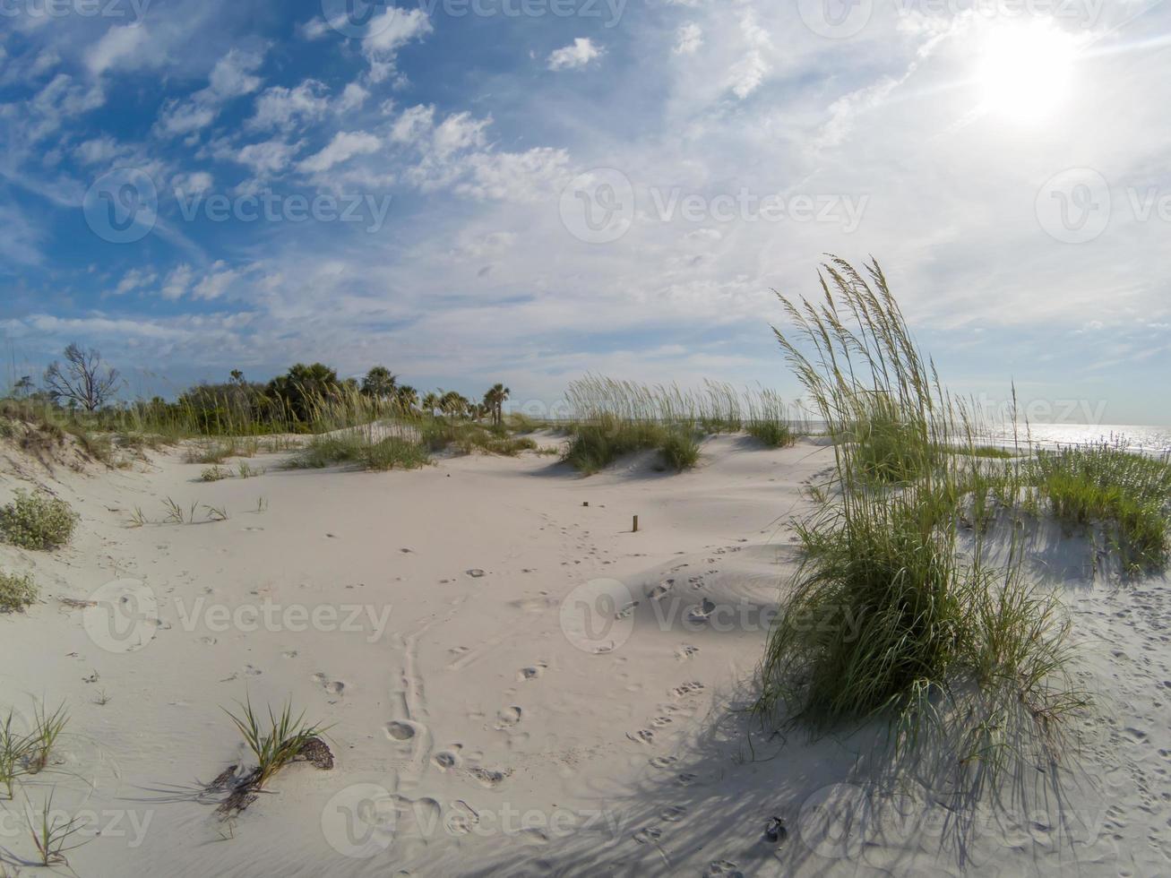 scene di spiaggia a Hunting Island South Carolina foto