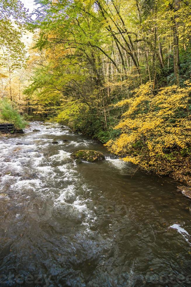 scenario pittoresco dal sentiero dei rampicanti della Virginia in autunno foto