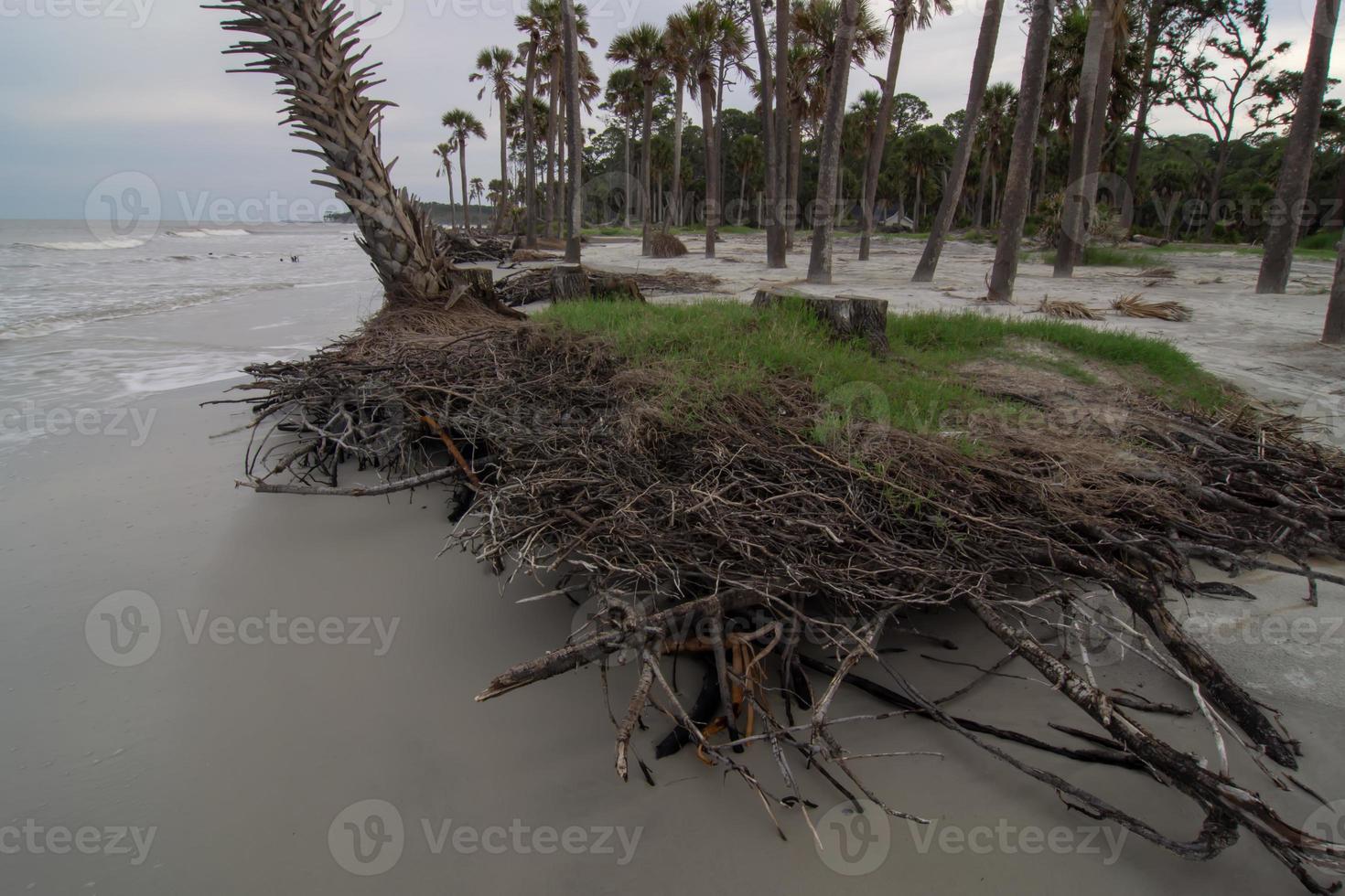 scene della spiaggia della Carolina del sud dell'isola di caccia foto