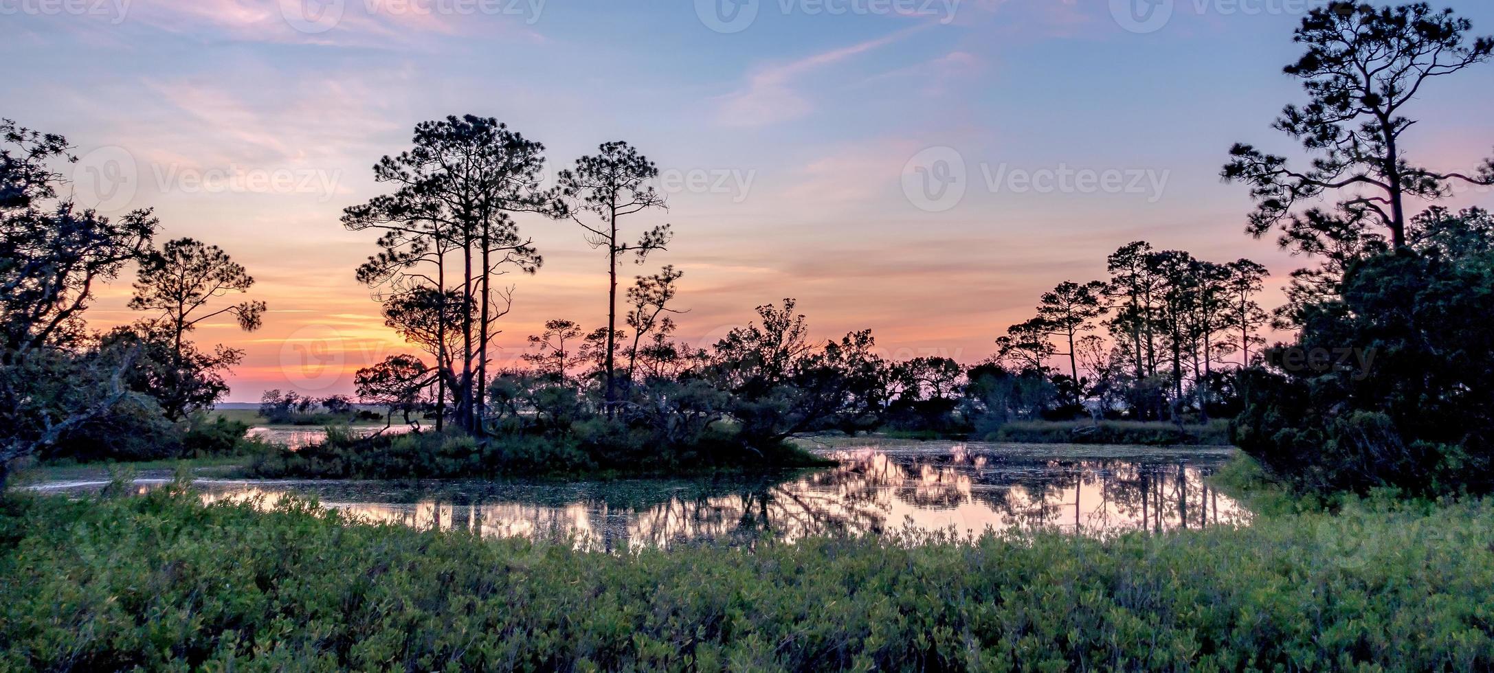 scene di paesaggi naturali intorno al parco statale dell'isola di caccia nella Carolina del sud foto