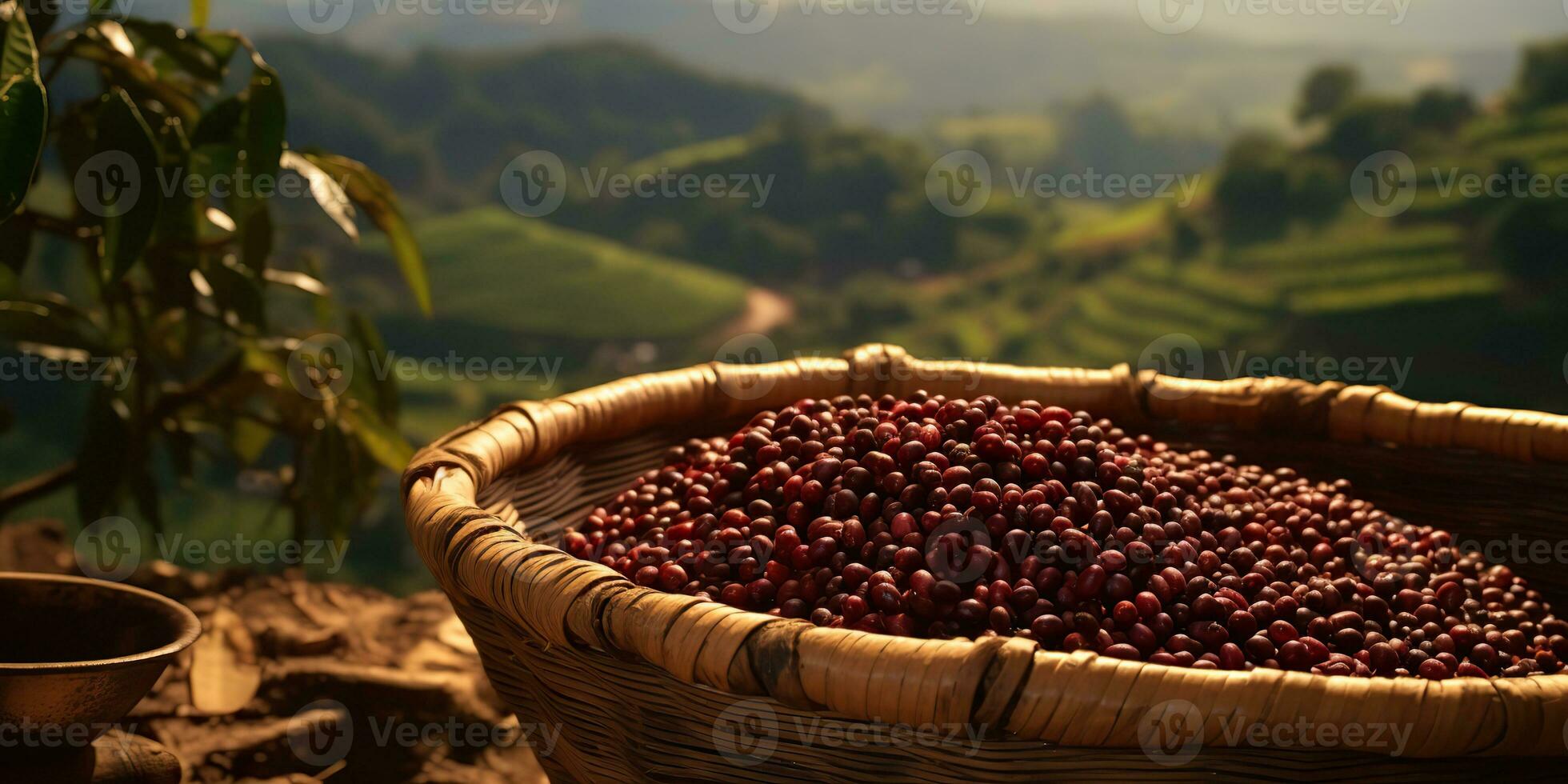 ai generato. ai generativo. caffè fagioli piantagione natura all'aperto paesaggio. grafico arte foto