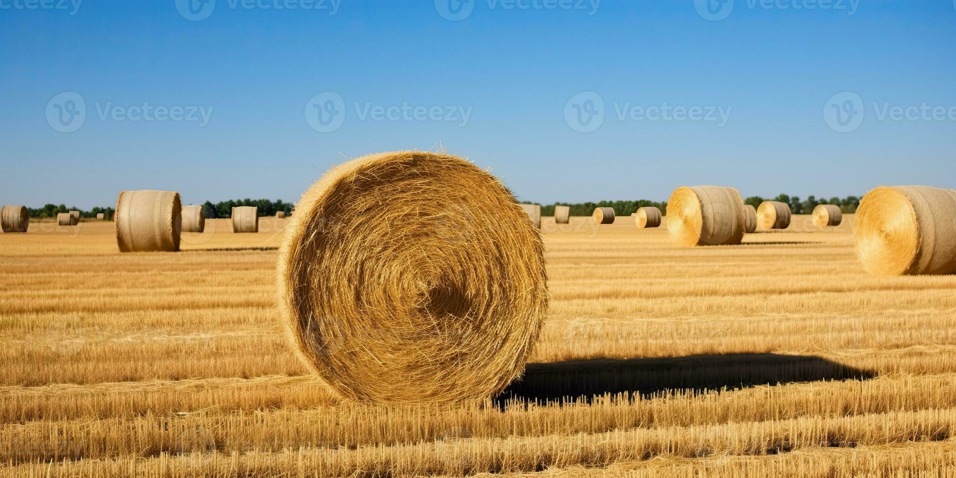 ai generato. ai generativo. autunno campagna raccogliere agricoltura il giro balle pila. all'aperto natura paesaggio. grafico arte foto