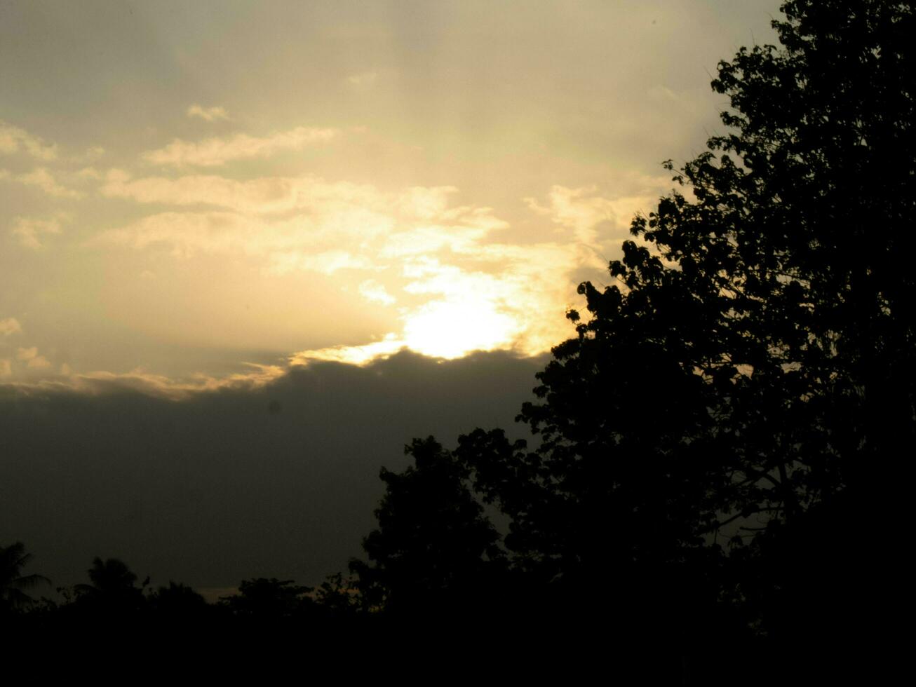 il Immagine di il sera sole dà un' sensazione di frescura. foto