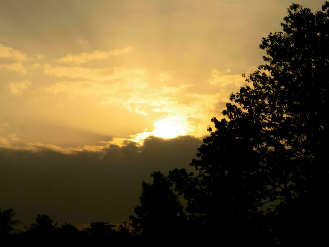 il Immagine di il sera sole dà un' sensazione di frescura. foto