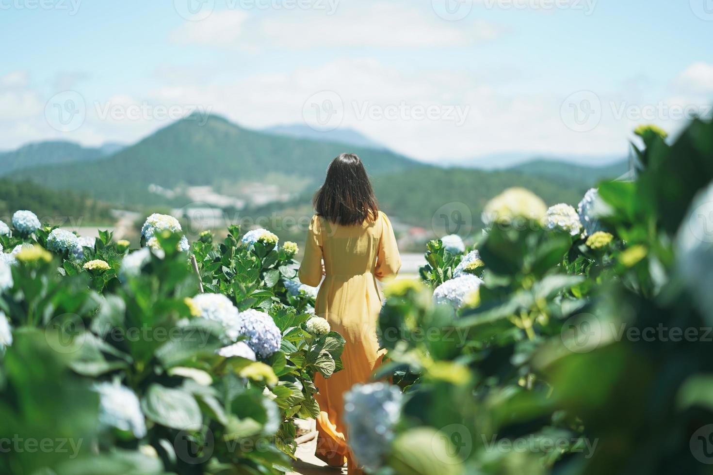 bella donna asiatica in abito giallo cammina nel giardino dei fiori di ortensie foto