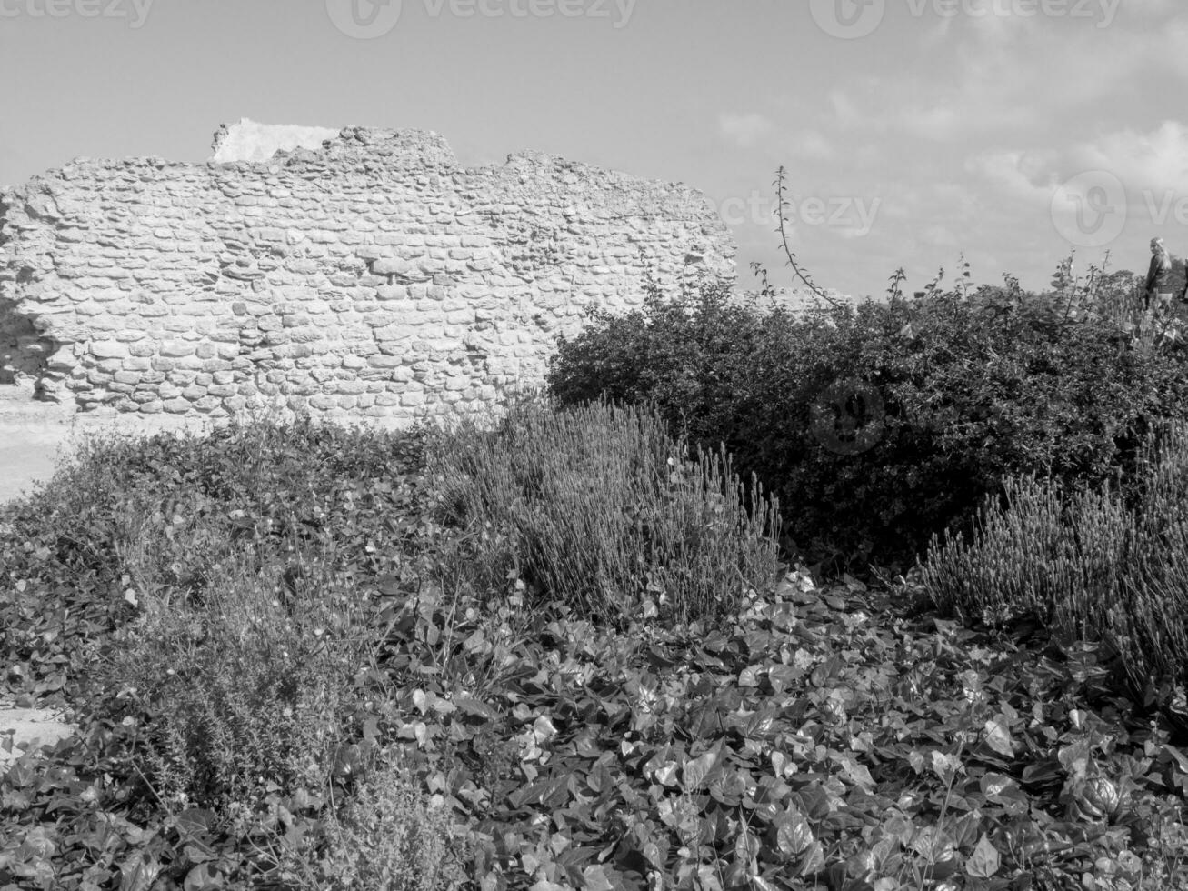 il città di tunis foto