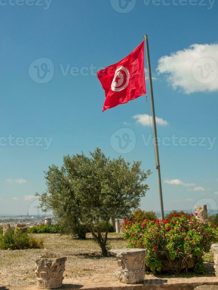 il città di tunis foto