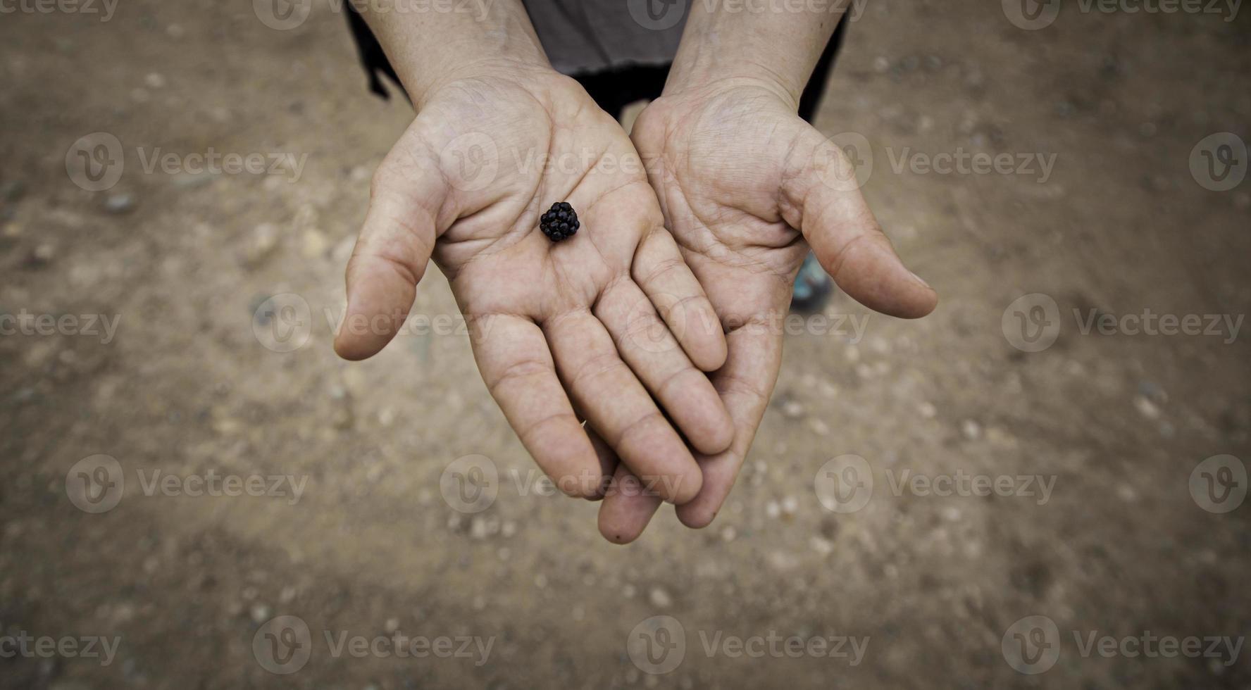 mora selvatica nelle mani di un giovane foto