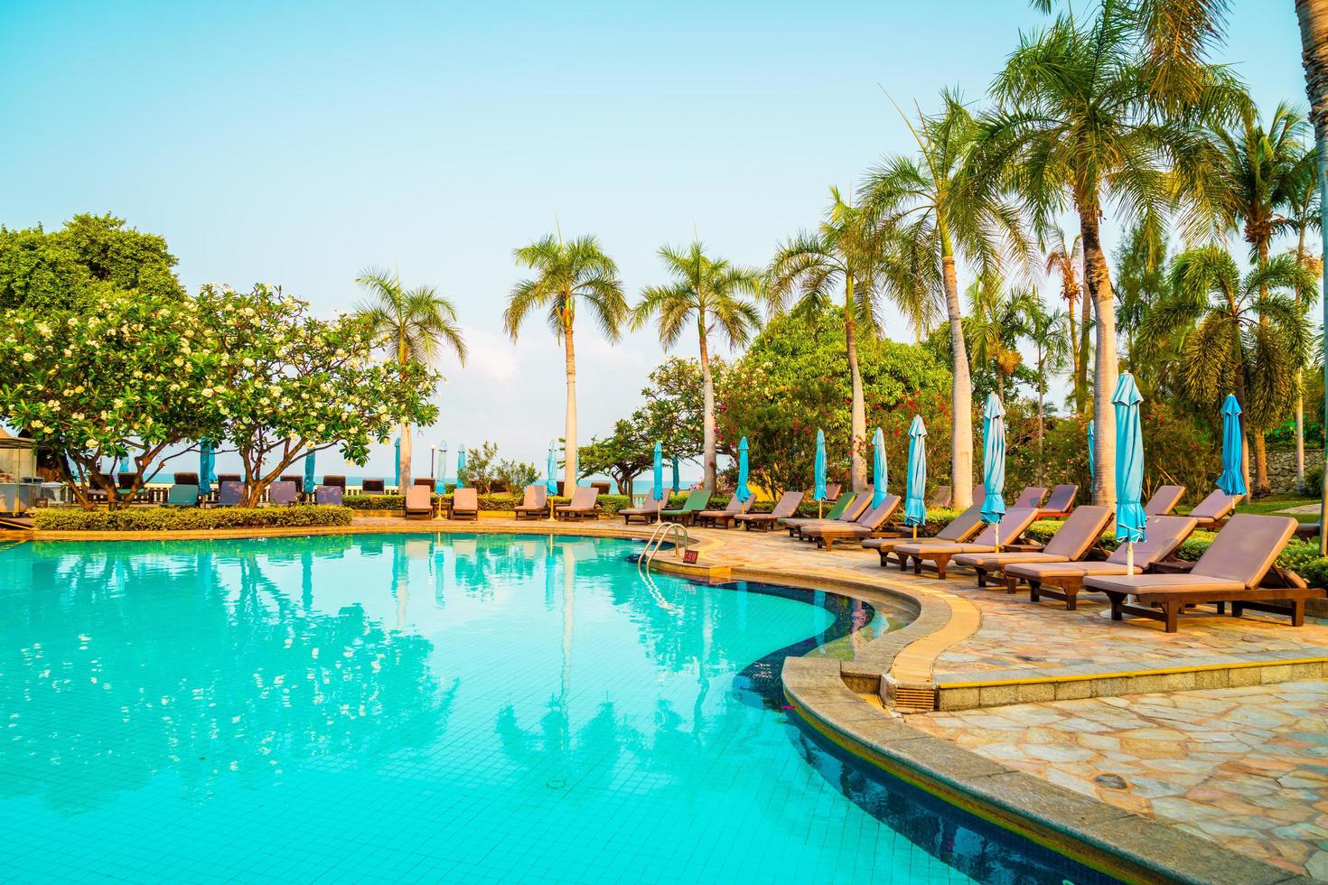 sedie piscine e ombrelloni intorno alla piscina con palme da cocco - vacanze e concetto di vacanza vacation foto