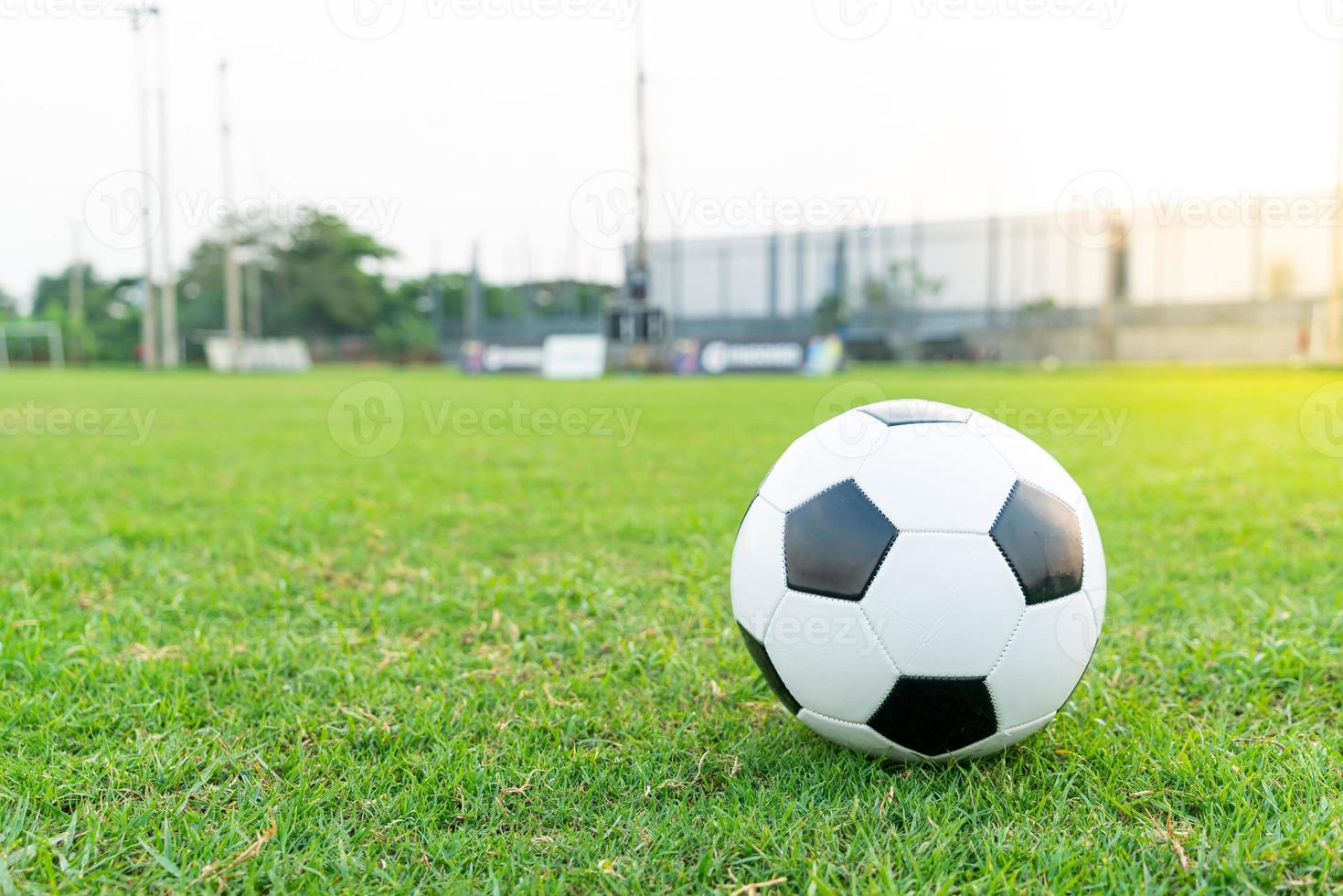 pallone da calcio sul campo da calcio foto