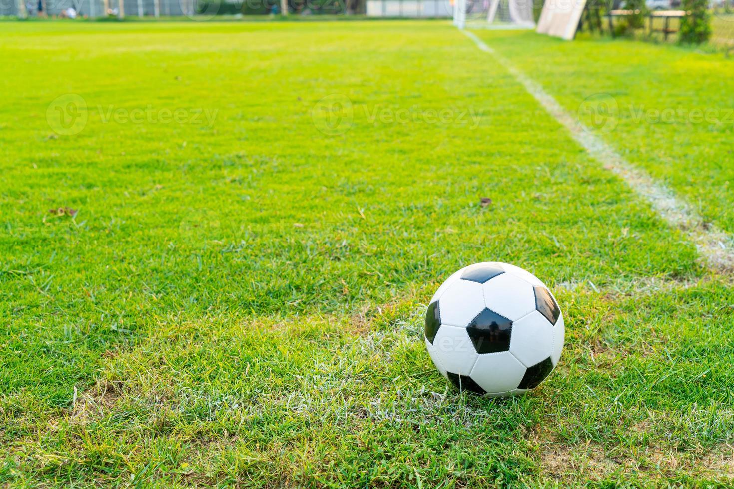 pallone da calcio sul campo da calcio foto