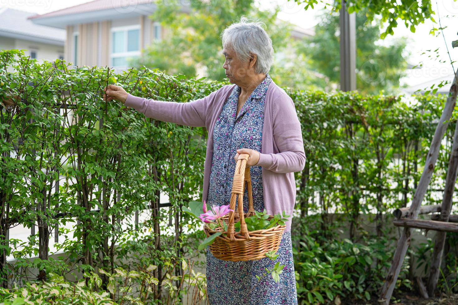 donna anziana asiatica anziana o anziana che si prende cura del giardino in casa, hobby per rilassarsi ed esercitarsi con felice. foto