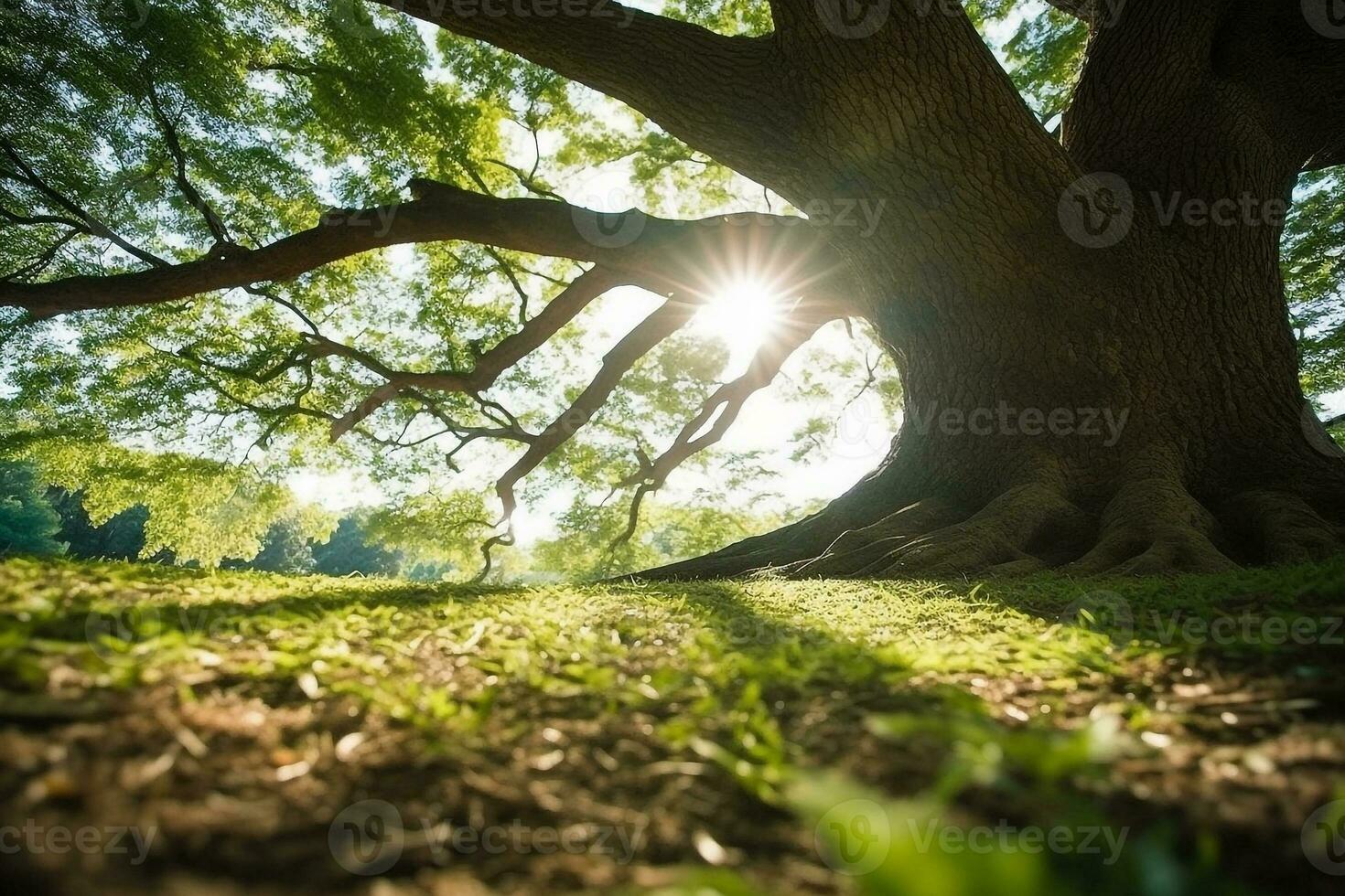 verde foresta con soleggiato day.generative ai. foto