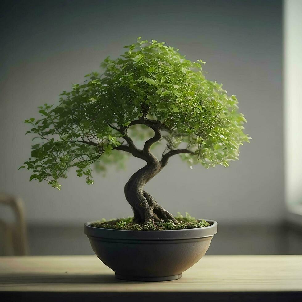 Bonsai albero nel un' pentola su un' tavolo per casa decorazione, ai generativo foto