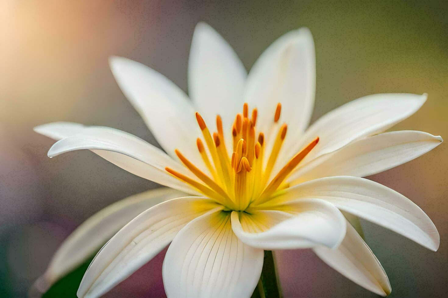 giglio fiore ai generativo foto