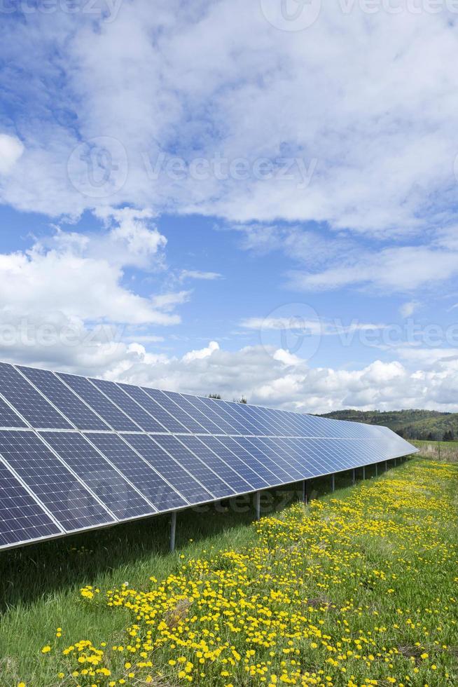 centrale solare sul prato fiorito primaverile foto