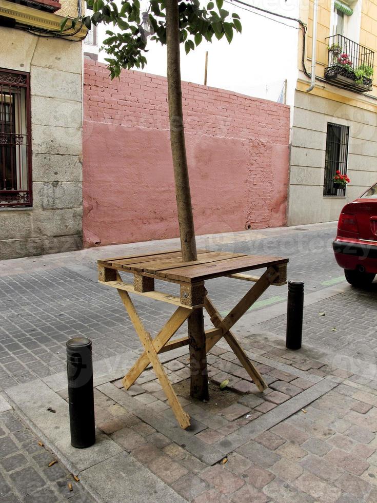 strano alberello in città foto