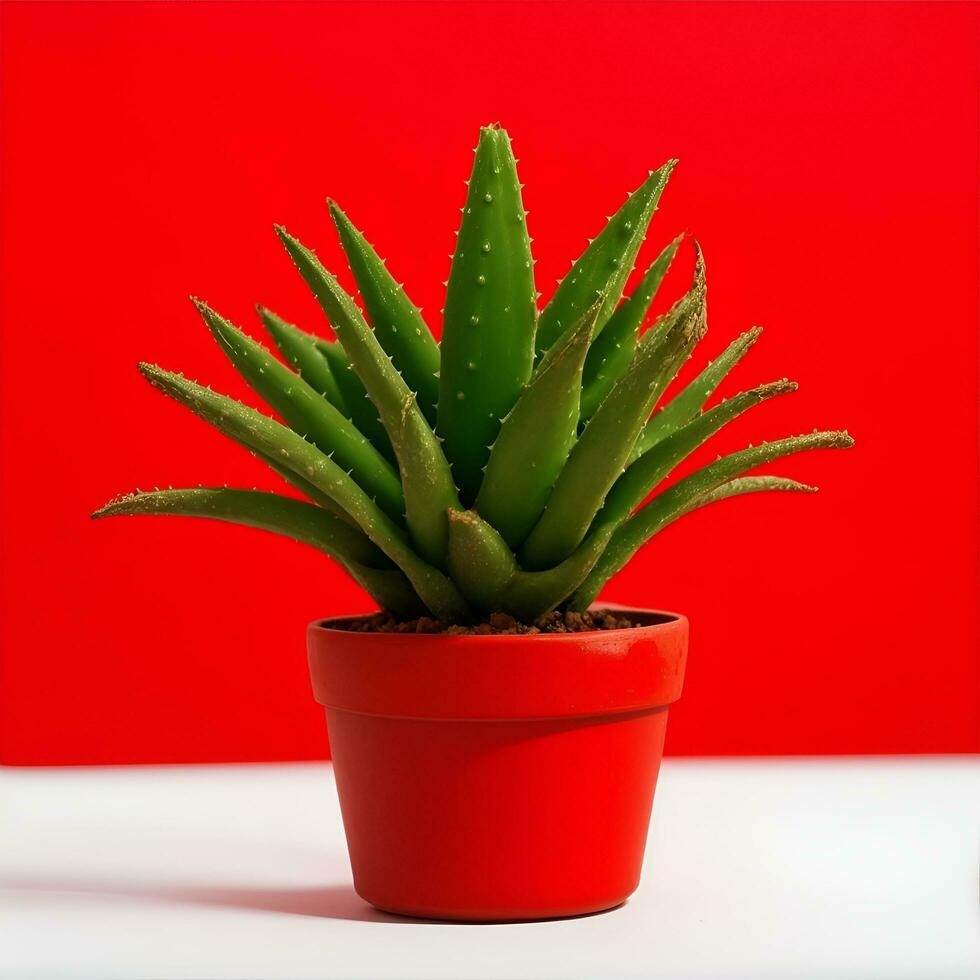 carino aloe pianta nel un' pentola con sfondo - ai generato foto