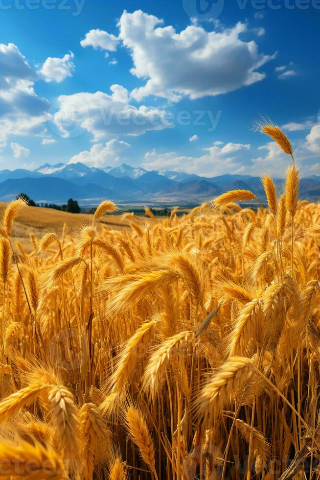 chiaro cielo, rotolamento montagne, d'oro Grano campi. ai generativo foto