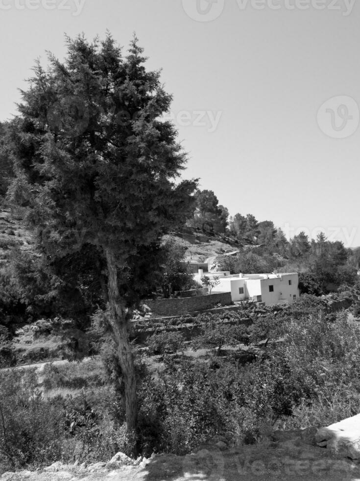 il isola di ibiza foto