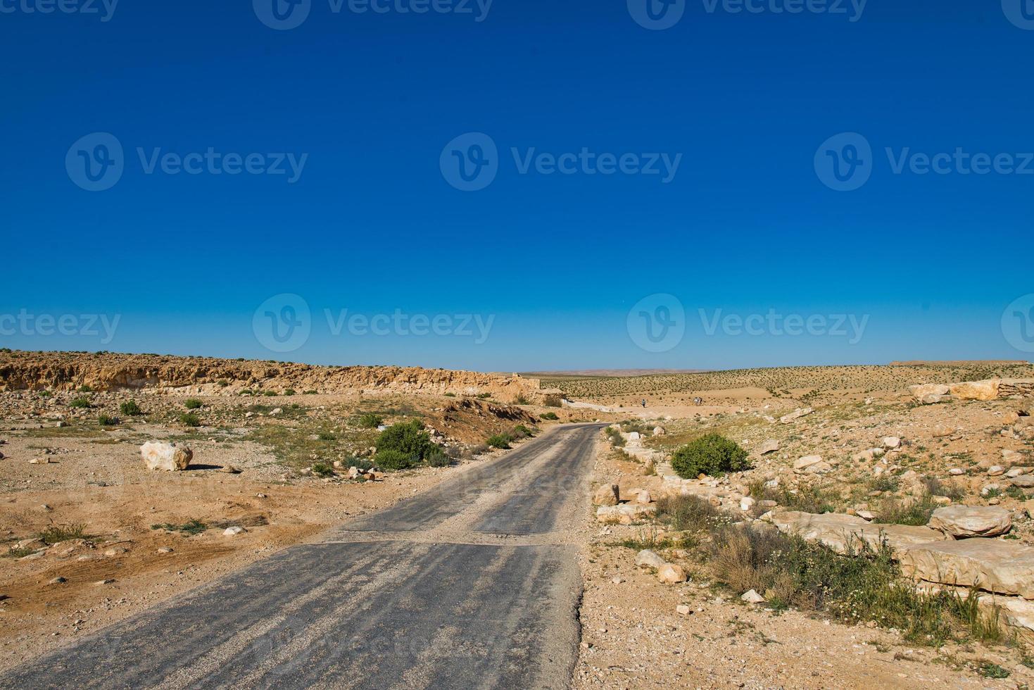 strada che attraversa il deserto del Negev in Israele foto