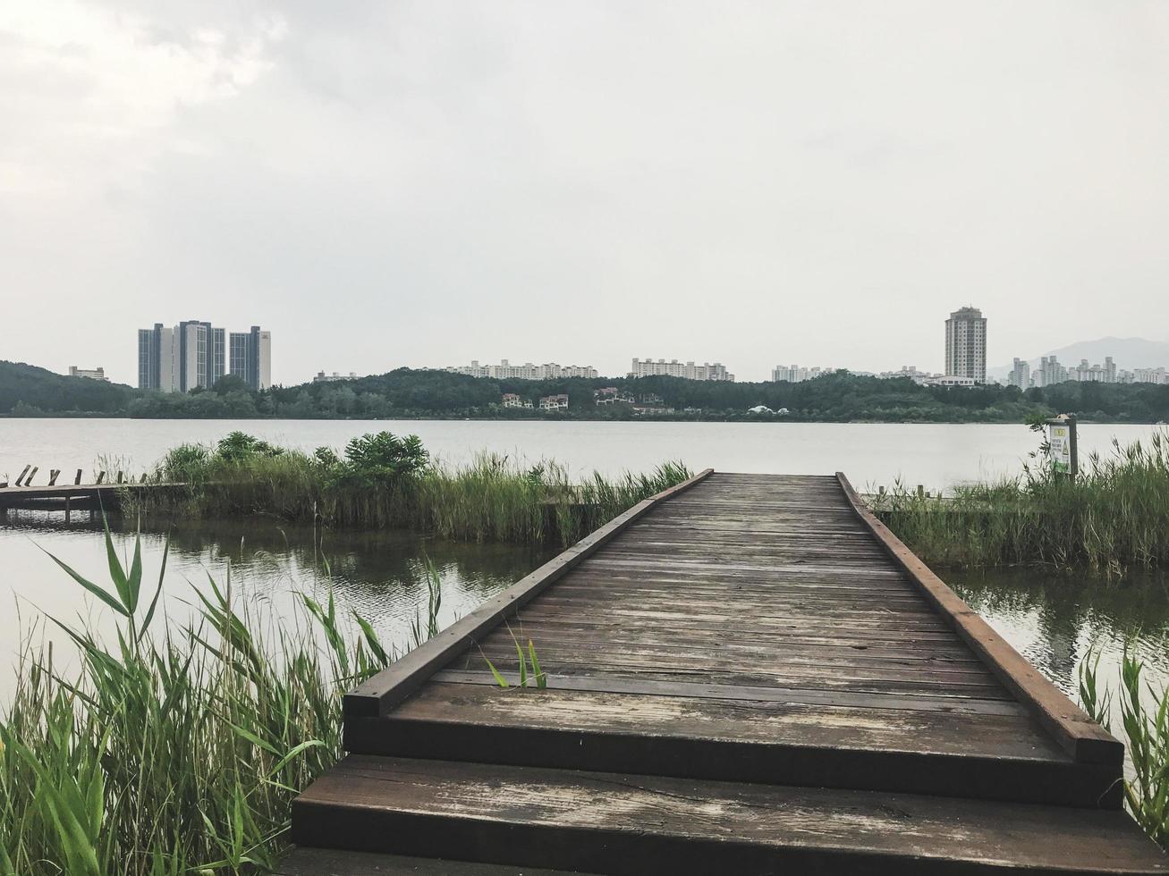 il molo di legno ricoperto di canne sul lago della città di sokcho, corea del sud foto