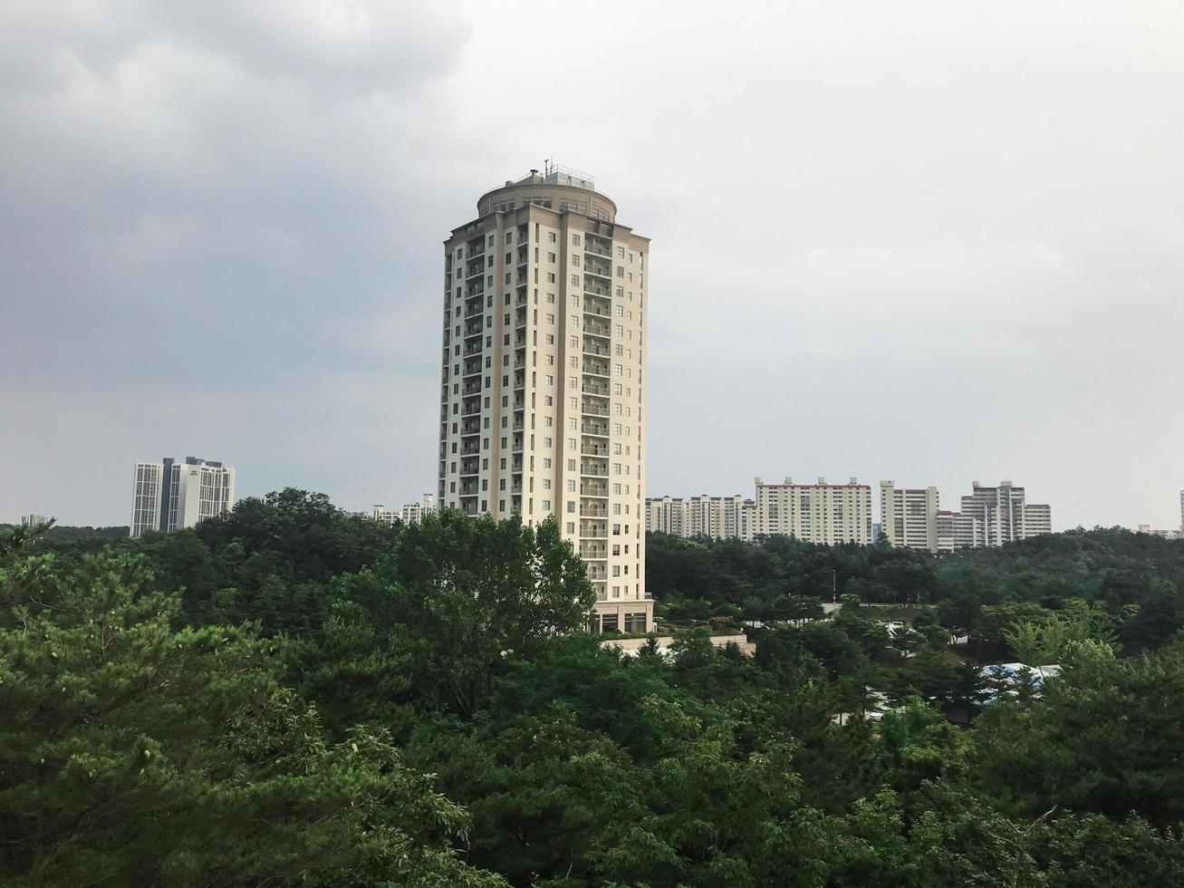 edificio alto e bosco verde intorno. città di sokcho, corea del sud foto