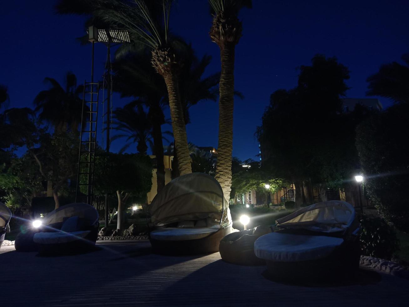 serata con palme nel parco di hurghada, egitto foto