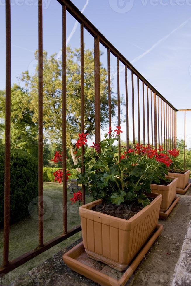 vasi di gereni sul balcone in pietra, provincia del lotto, francia foto