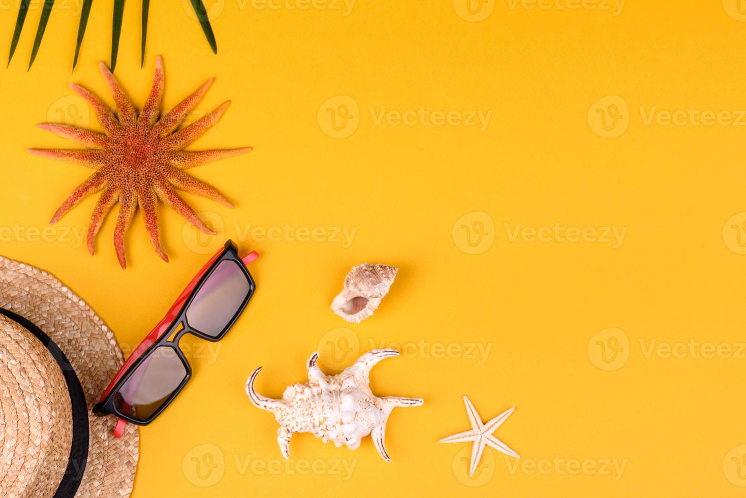 accessori da spiaggia con conchiglie e stelle marine su sfondo colorato foto