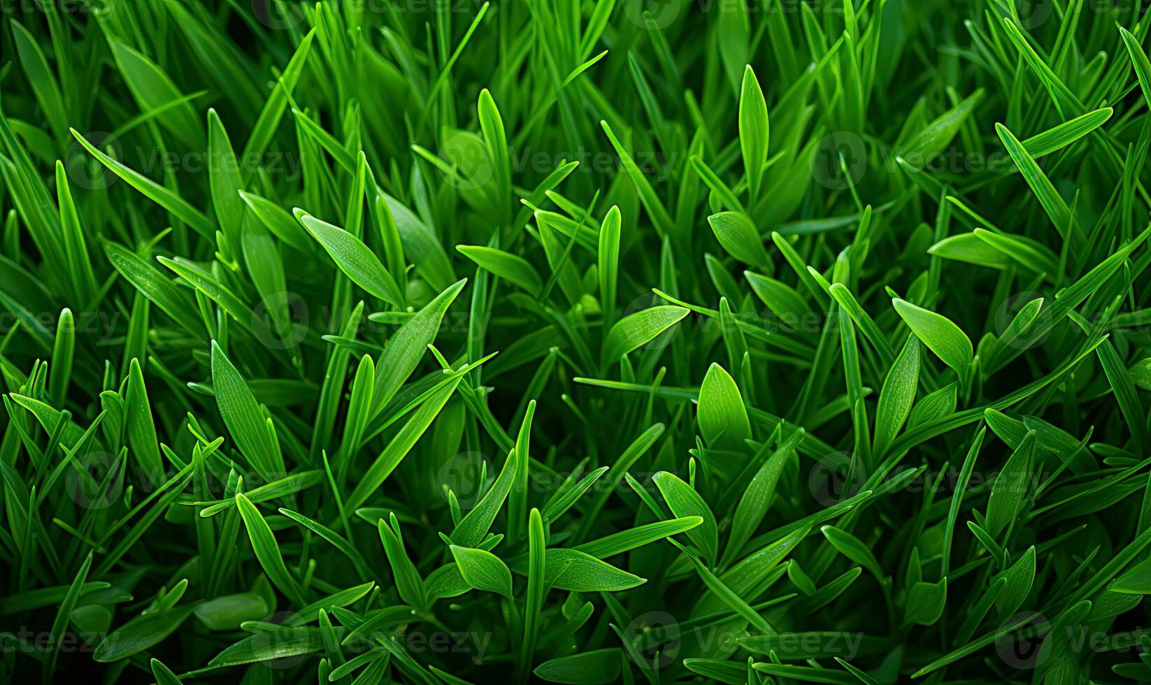 avvicinamento Visualizza di denso vivace verde erba. creato con ai foto