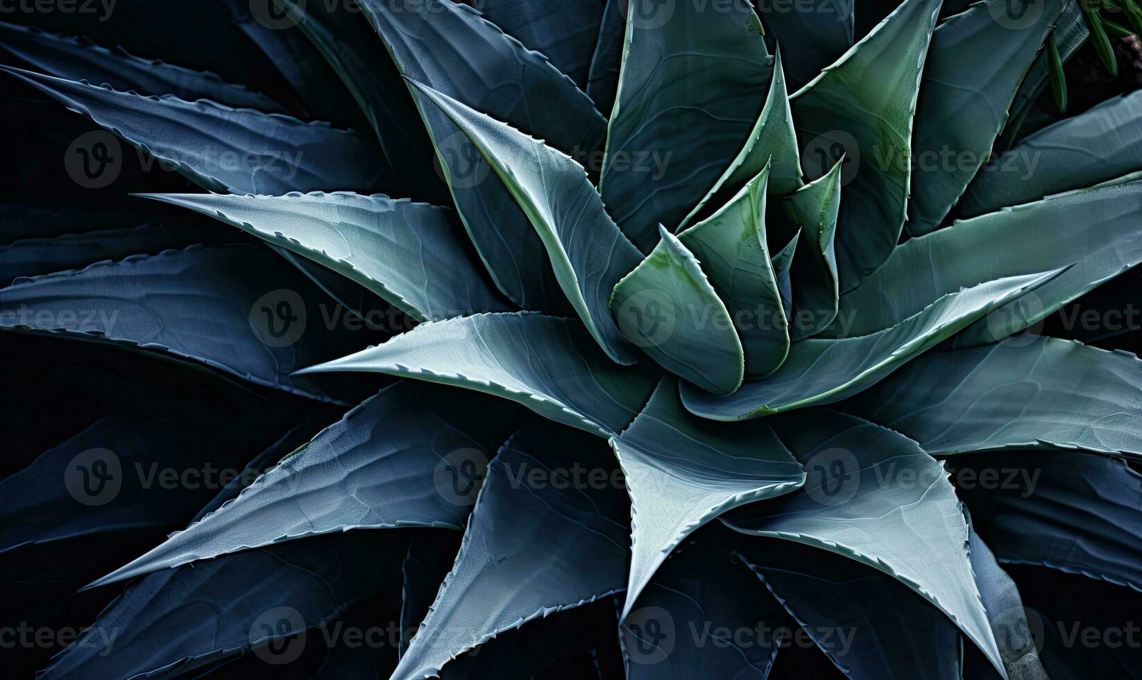 tropicale succulente sfondo. strutturato blu Agave striscione. per cartolina, libro illustrazione. creato con generativo ai utensili foto