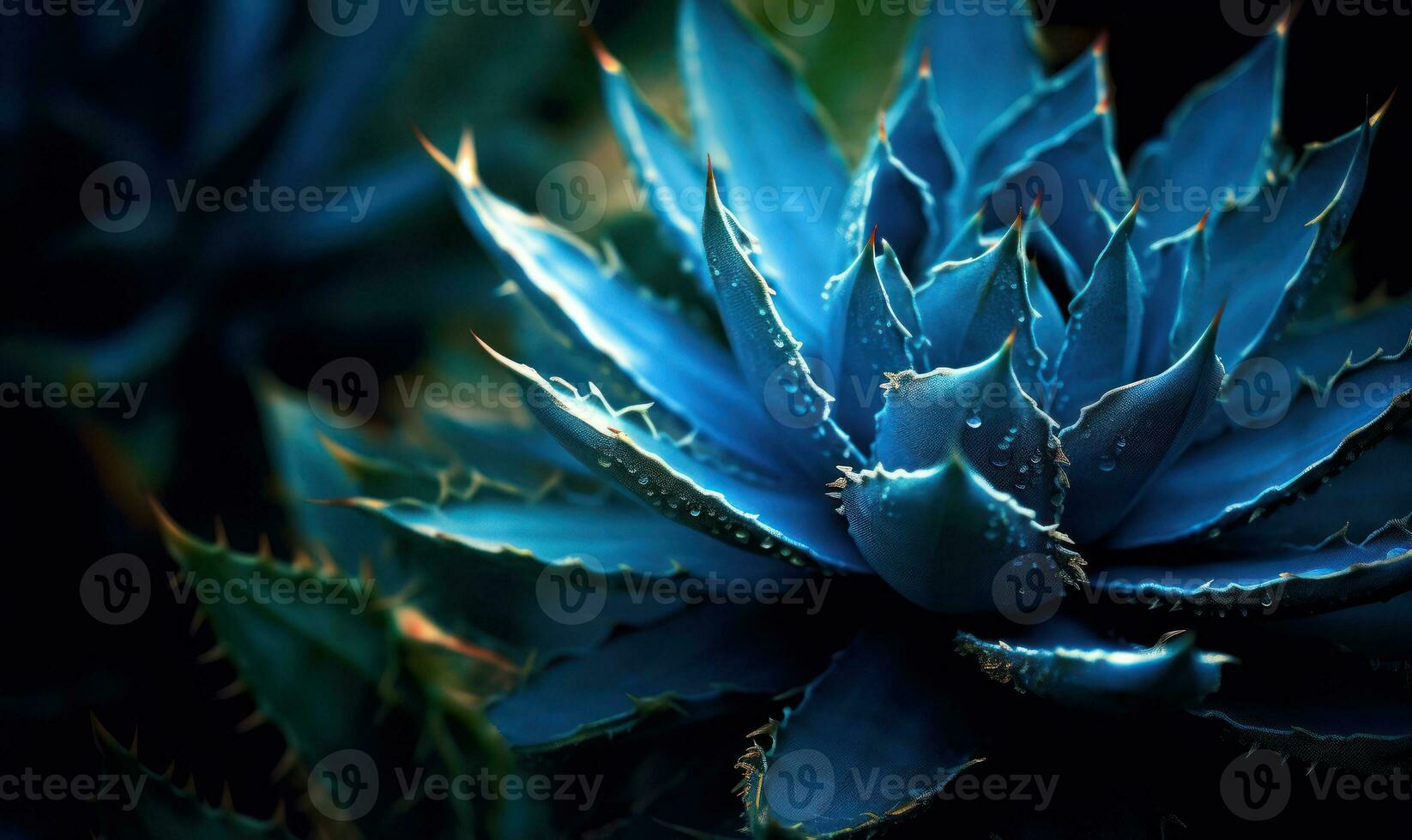 tropicale succulente sfondo. strutturato blu Agave striscione. per cartolina, libro illustrazione. creato con generativo ai utensili foto