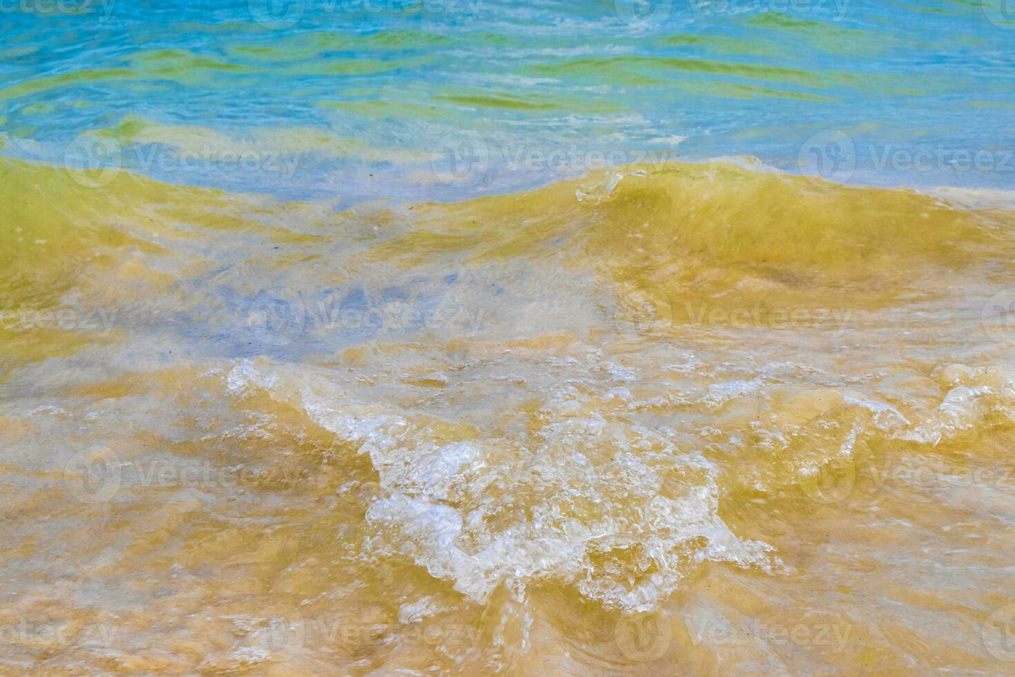 onde a tropicale spiaggia caraibico mare chiaro turchese acqua Messico. foto