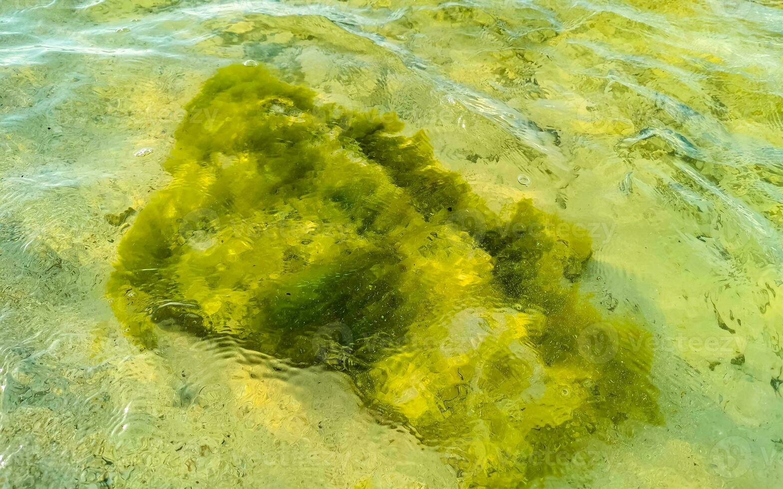 pietre rocce coralli turchese verde blu acqua su spiaggia Messico. foto