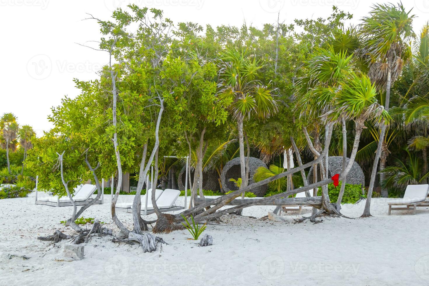 palapa paglia tetti palme ombrelloni sole lettini spiaggia ricorrere Messico. foto