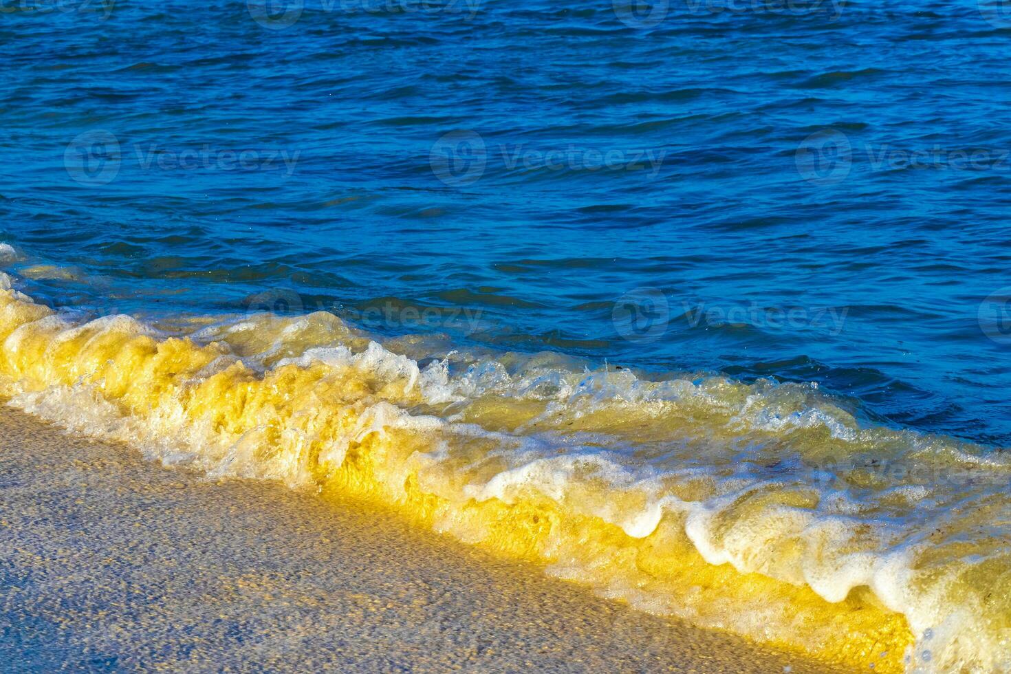 onde a tropicale spiaggia caraibico mare chiaro turchese acqua Messico. foto