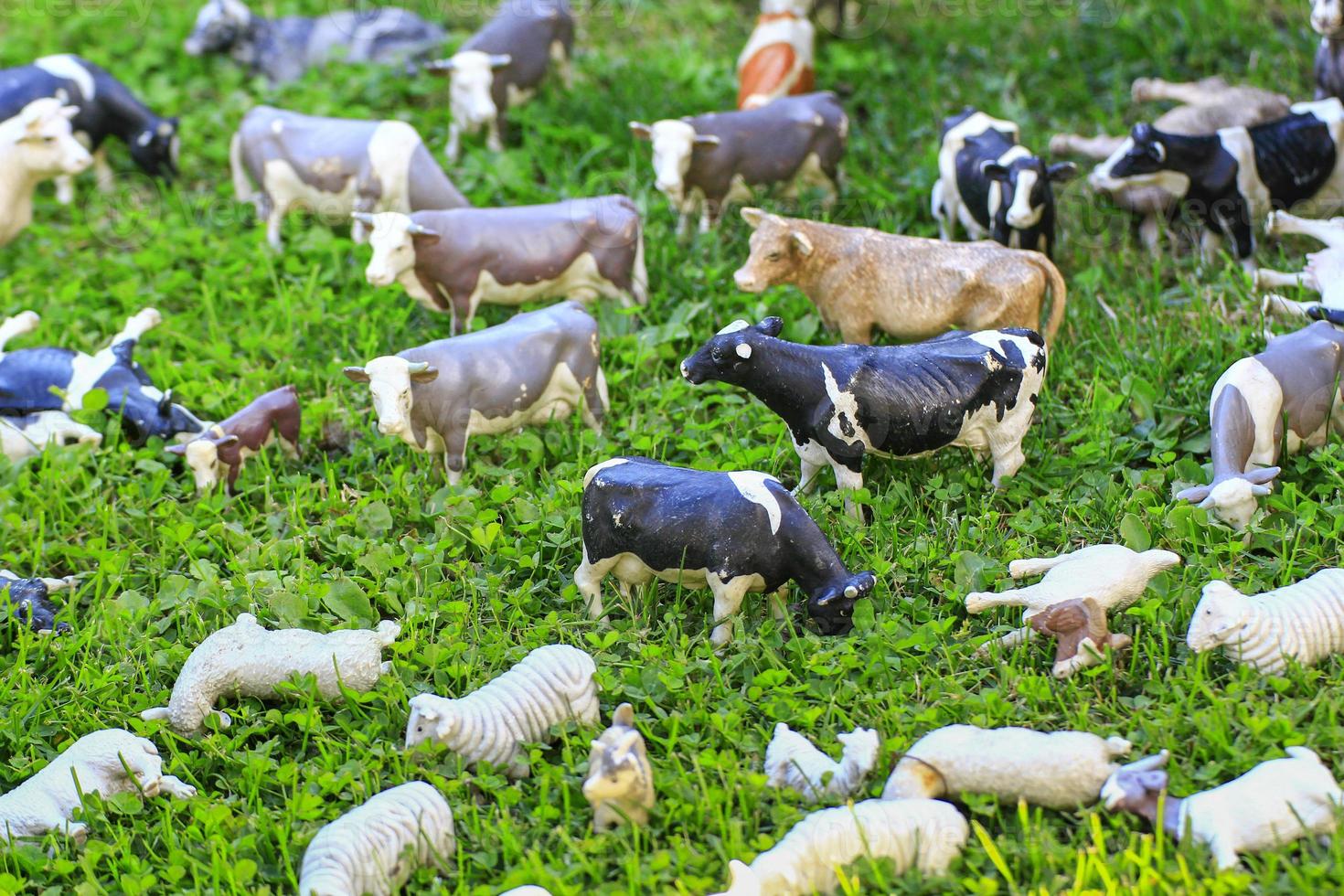 animali giocattolo da pascolare foto