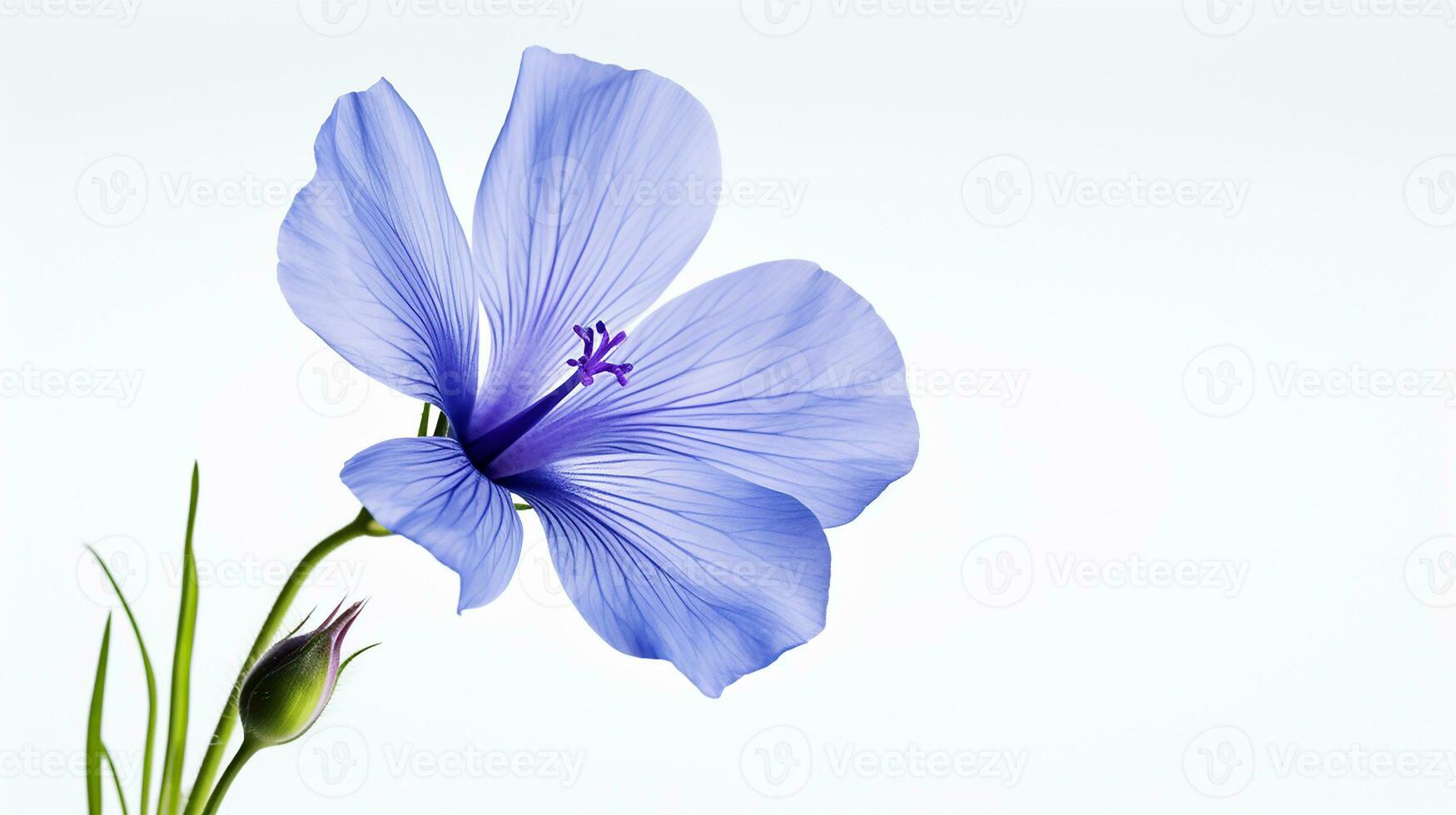 foto di bellissimo lino fiore isolato su bianca sfondo. generativo ai