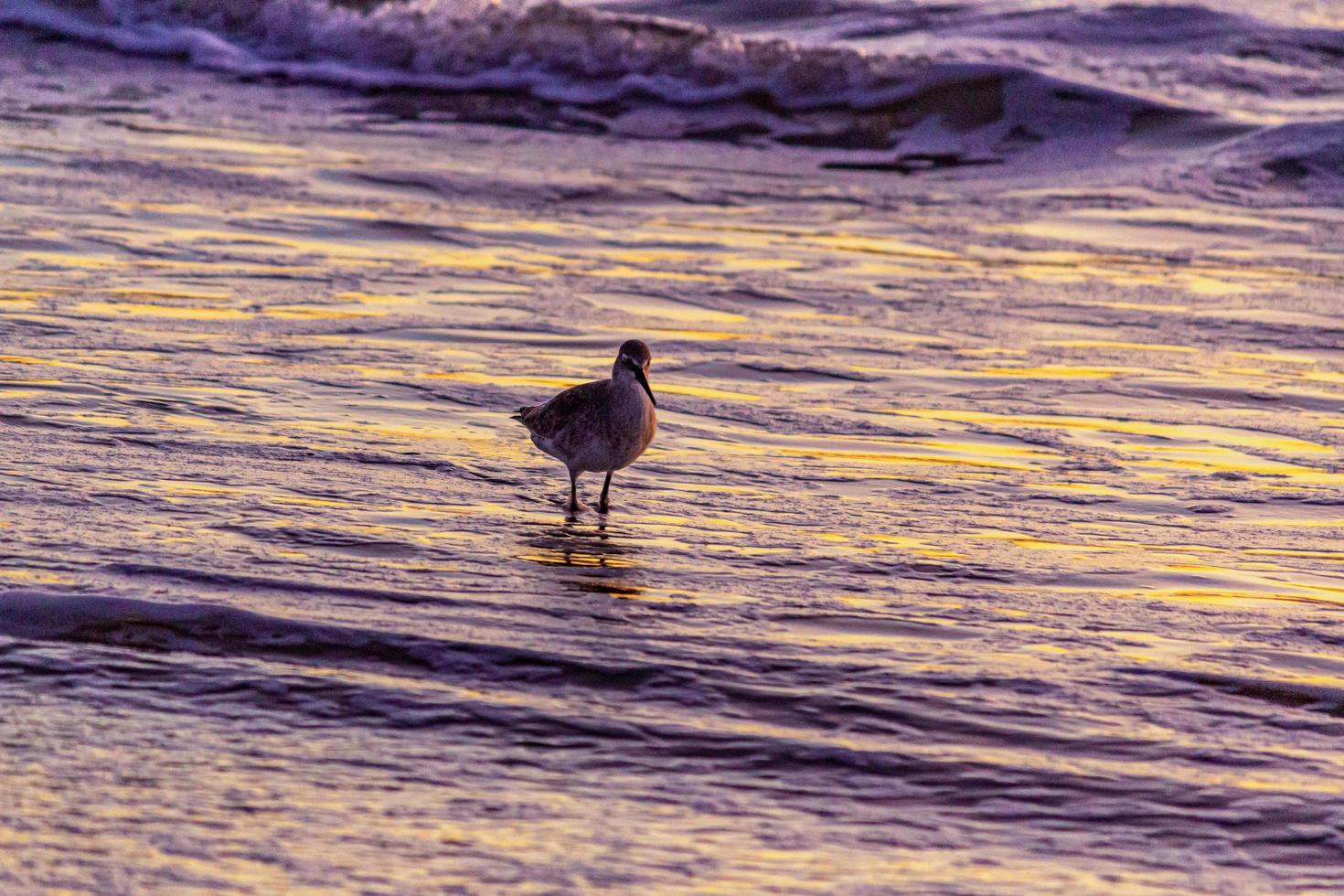 tramonto a playa del rosarito - spiaggia di rosarito, messico 2019 foto