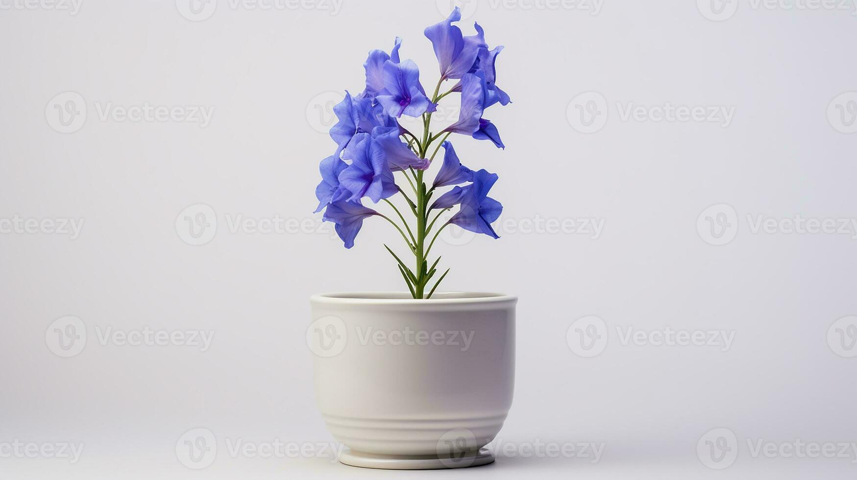 foto di larkspur fiore nel pentola isolato su bianca sfondo. generativo ai