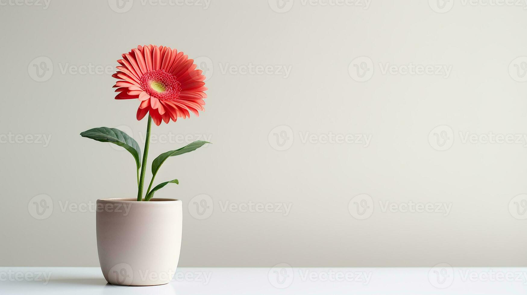 foto di gerbera fiore nel pentola isolato su bianca sfondo. generativo ai