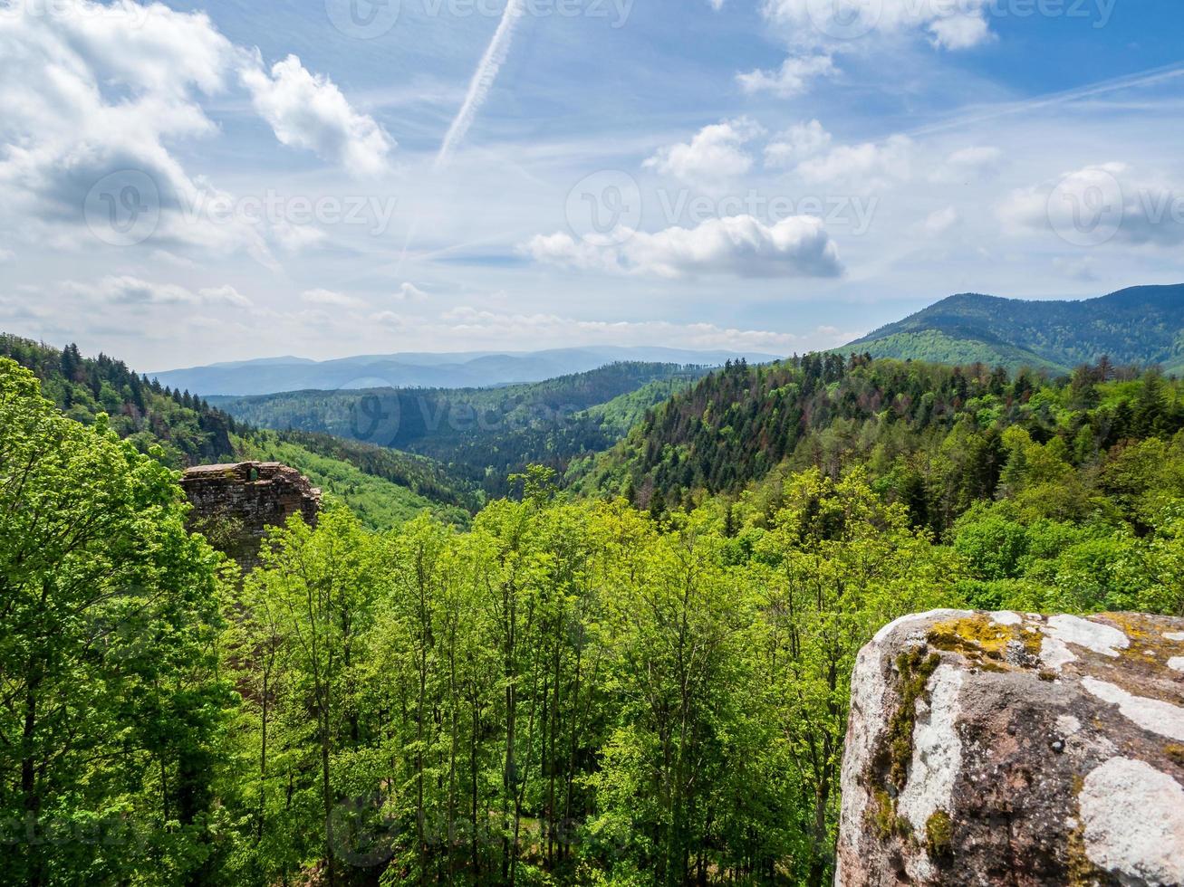 rovine del castello medievale di nidek nelle montagne dei Vosgi, alsazia foto