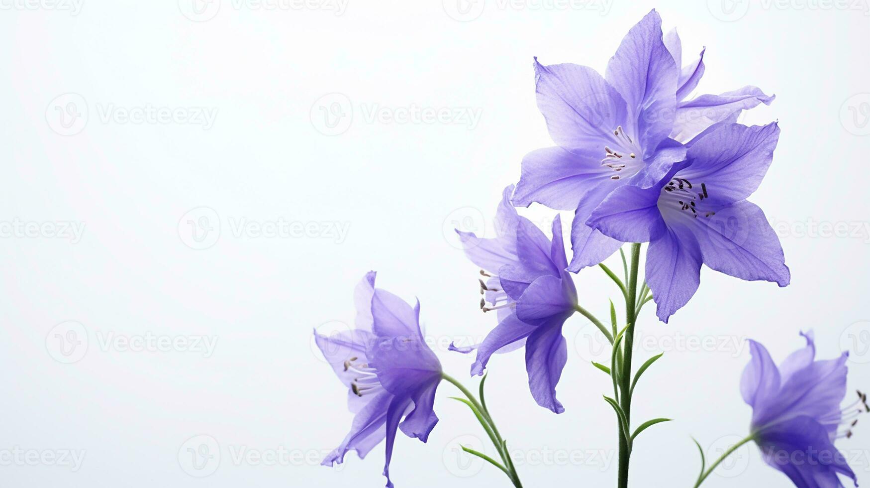 foto di bellissimo larkspur fiore isolato su bianca sfondo. generativo ai