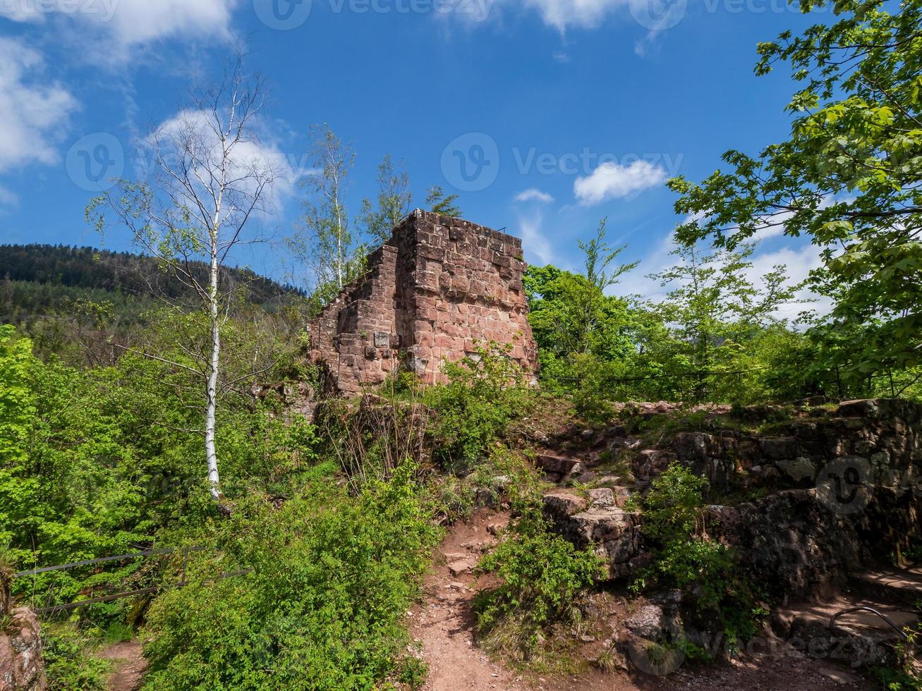 rovine del castello medievale di nidek nelle montagne dei Vosgi, alsazia foto