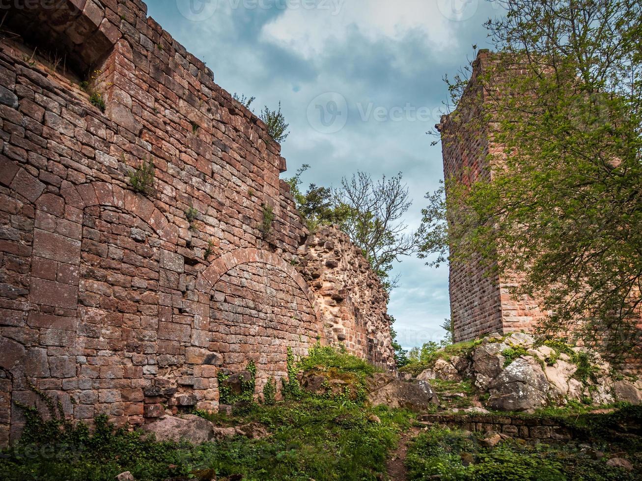 castello medievale landsberg nei vosgi, alsazia. antiche rovine in montagna. foto