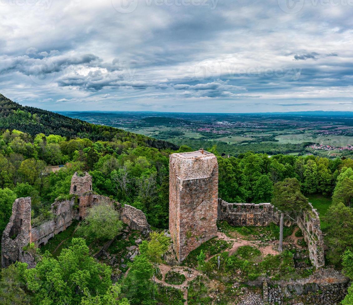 castello medievale landsberg nei vosgi, alsazia, francia foto